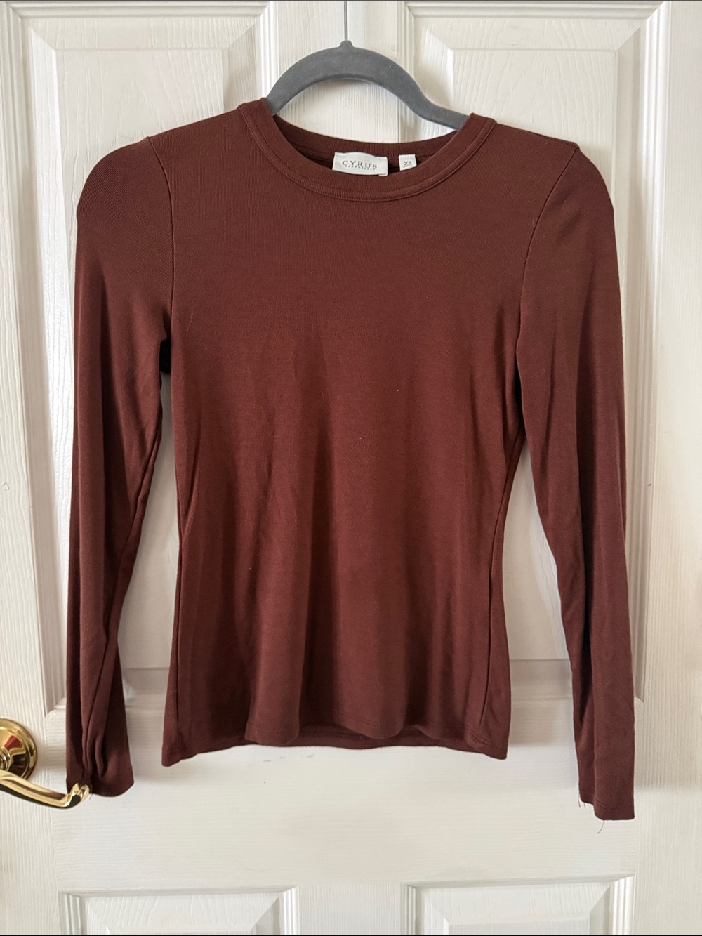 Cyrus Slim Long Sleeve Crewneck Top in Brown